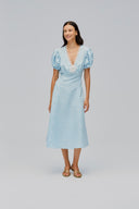 The Genus Rosa Dress