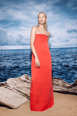 Voyage Strapless Maxi